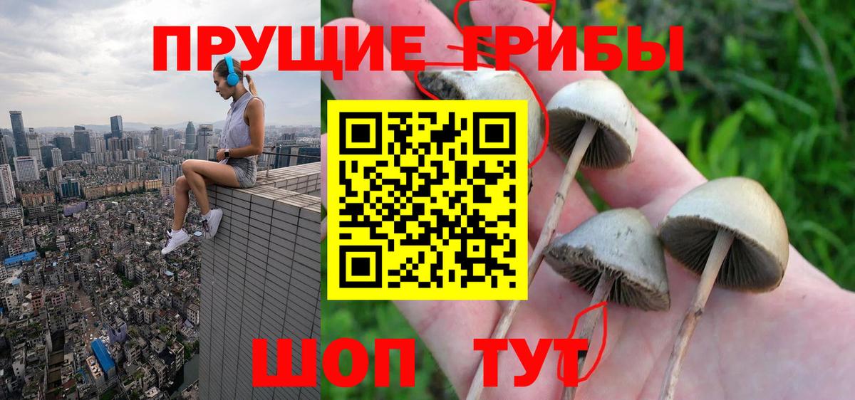 Псилоцибиновые грибы мицелий Ульяновск